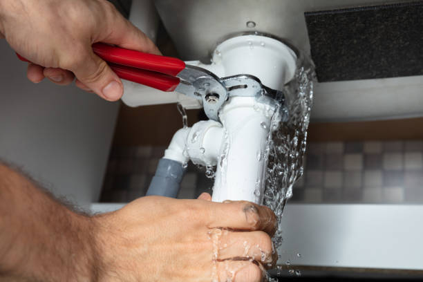 Best Carpet water damage restoration  in Rich Hill, MO