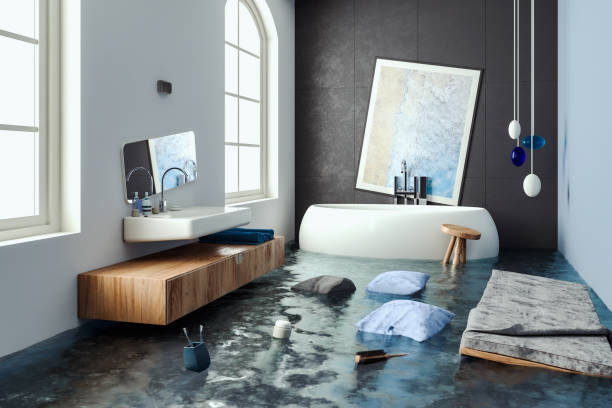 Best Water damage cleanup near me  in Rich Hill, MO