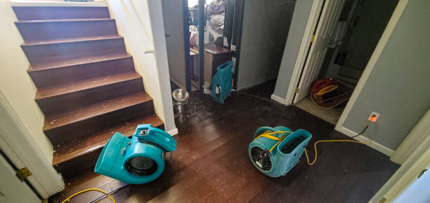 Best Flood damage cleanup  in Rich Hill, MO