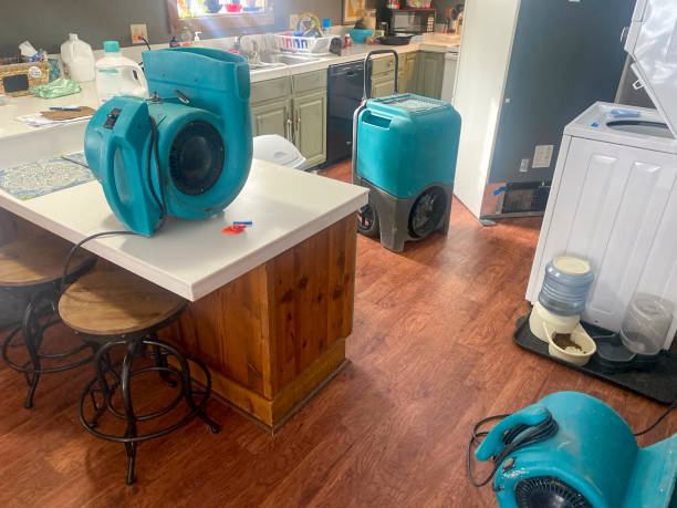 Best Water damage restoration process  in Rich Hill, MO