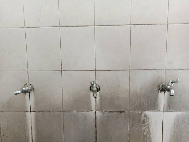 Best Fire Damage Restoration  in Rich Hill, MO