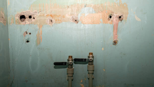 Best 24/7 water damage repair  in Rich Hill, MO