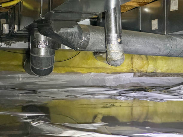Best Professional water damage repair  in Rich Hill, MO