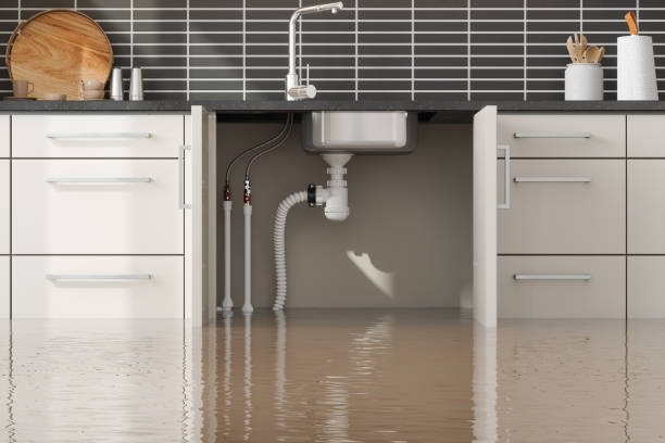 Best Local water damage restoration  in Rich Hill, MO